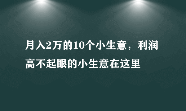 月入2万的10个小生意，利润高不起眼的小生意在这里