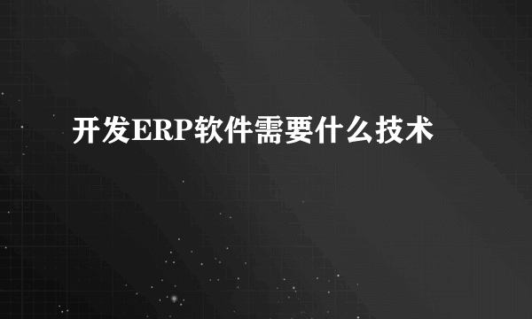 开发ERP软件需要什么技术