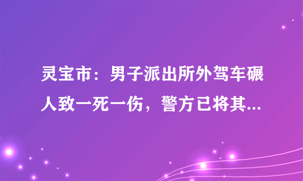 灵宝市：男子派出所外驾车碾人致一死一伤，警方已将其控制, 你怎么看？