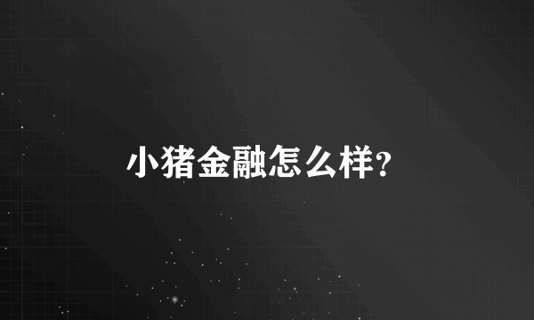 小猪金融怎么样？