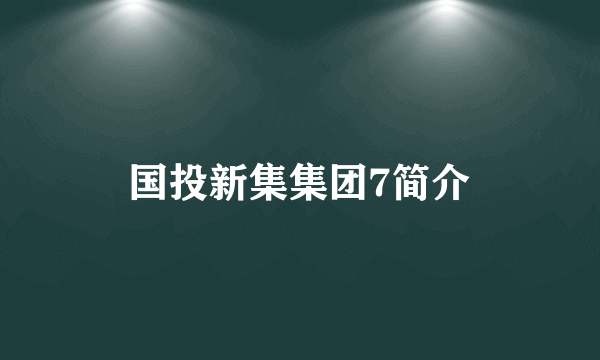 国投新集集团7简介