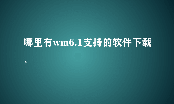 哪里有wm6.1支持的软件下载，