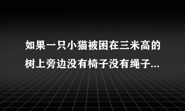 如果一只小猫被困在三米高的树上旁边没有椅子没有绳子自己也不会爬树怎么办