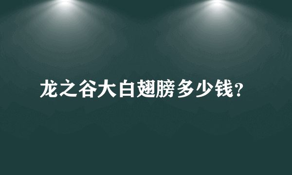 龙之谷大白翅膀多少钱？