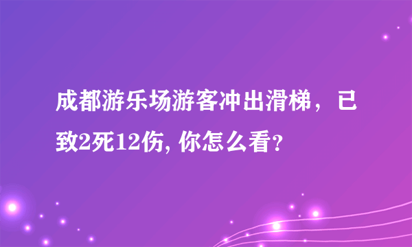 成都游乐场游客冲出滑梯，已致2死12伤, 你怎么看？