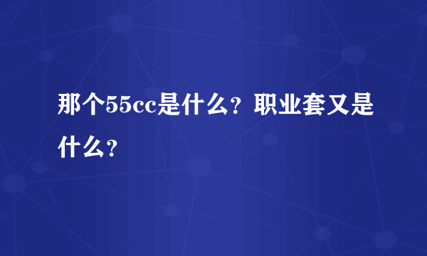 那个55cc是什么？职业套又是什么？