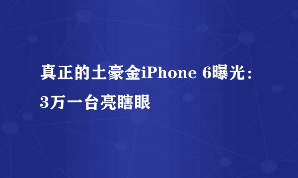 真正的土豪金iPhone 6曝光：3万一台亮瞎眼