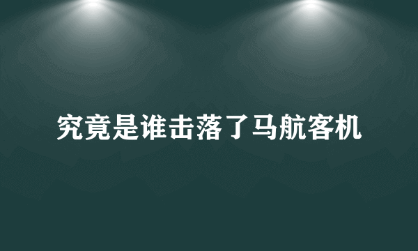 究竟是谁击落了马航客机