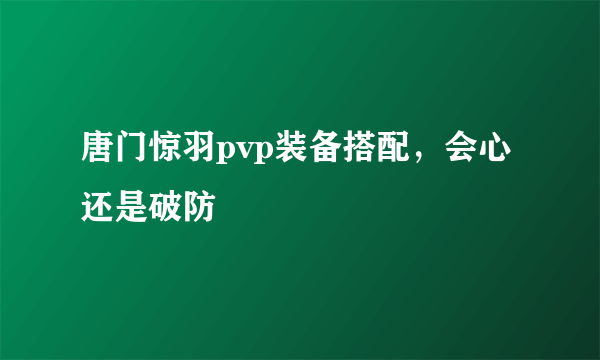 唐门惊羽pvp装备搭配，会心还是破防