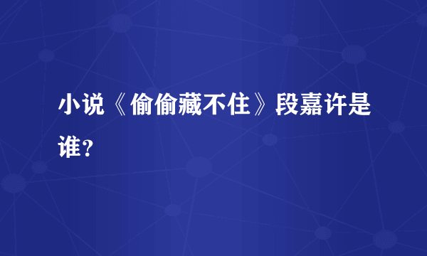 小说《偷偷藏不住》段嘉许是谁？