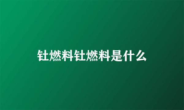 钍燃料钍燃料是什么