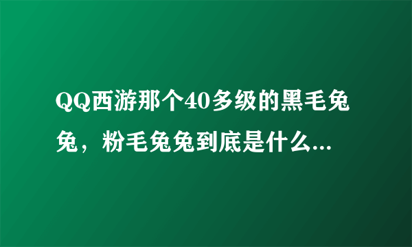 QQ西游那个40多级的黑毛兔兔，粉毛兔兔到底是什么东西？ 一打我就是好多血，怎么那么强、、