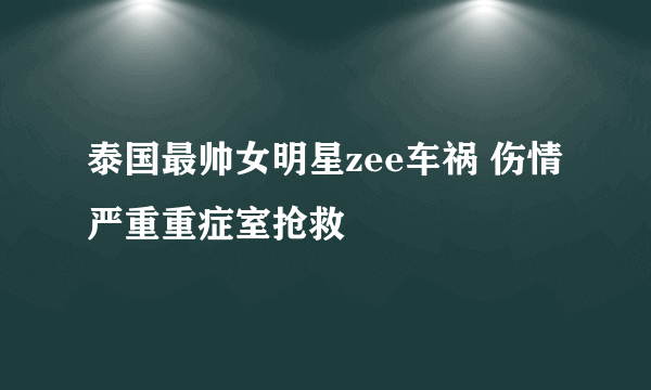 泰国最帅女明星zee车祸 伤情严重重症室抢救