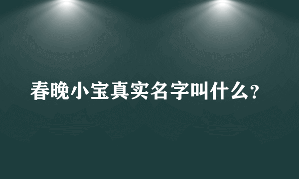 春晚小宝真实名字叫什么？