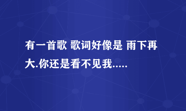 有一首歌 歌词好像是 雨下再大.你还是看不见我......你还是爱自己多.