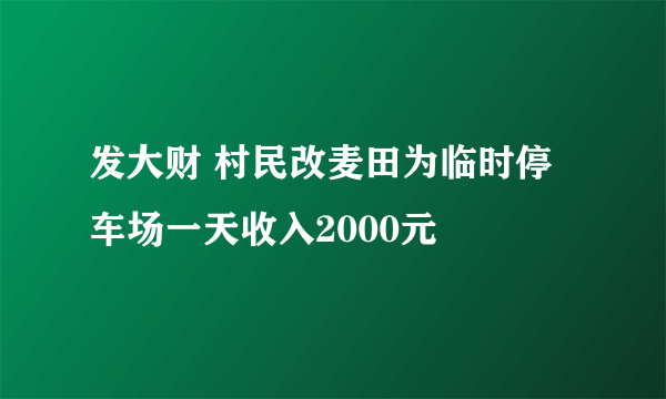 发大财 村民改麦田为临时停车场一天收入2000元