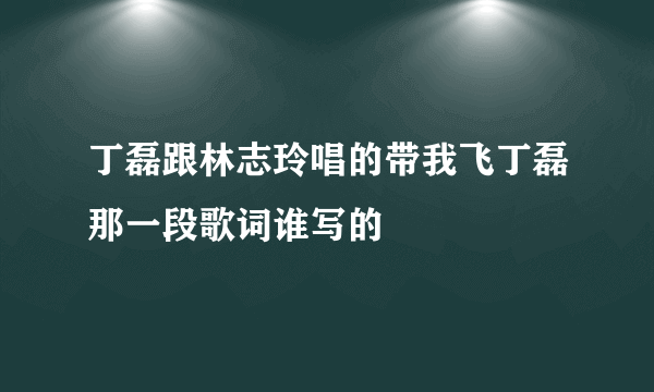 丁磊跟林志玲唱的带我飞丁磊那一段歌词谁写的