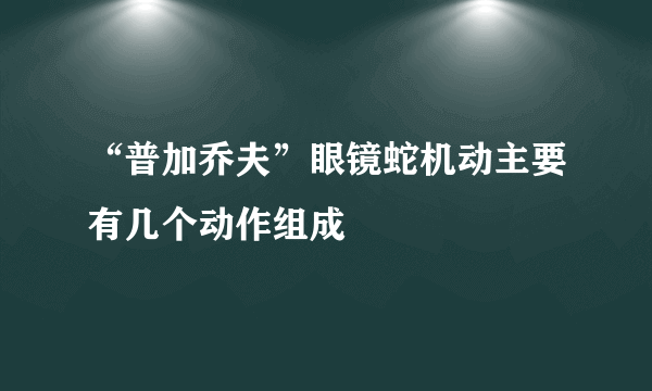 “普加乔夫”眼镜蛇机动主要有几个动作组成