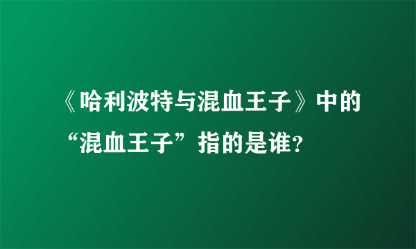 《哈利波特与混血王子》中的“混血王子”指的是谁？