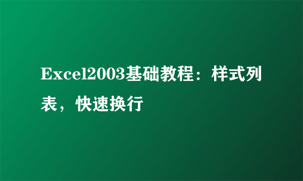 Excel2003基础教程：样式列表，快速换行