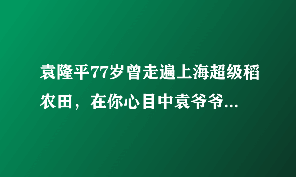 袁隆平77岁曾走遍上海超级稻农田，在你心目中袁爷爷是个怎样的人物？