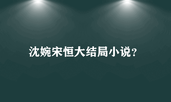 沈婉宋恒大结局小说？