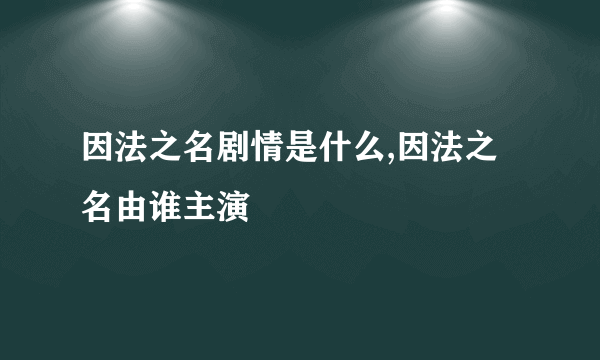 因法之名剧情是什么,因法之名由谁主演