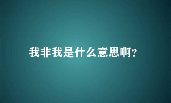 我非我是什么意思啊？