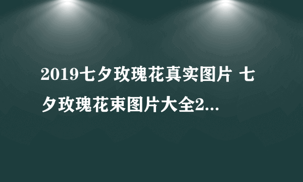 2019七夕玫瑰花真实图片 七夕玫瑰花束图片大全2019唯美