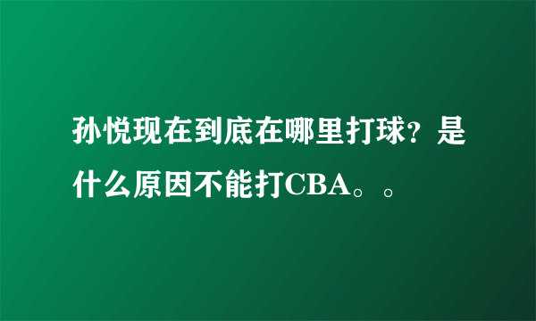 孙悦现在到底在哪里打球？是什么原因不能打CBA。。