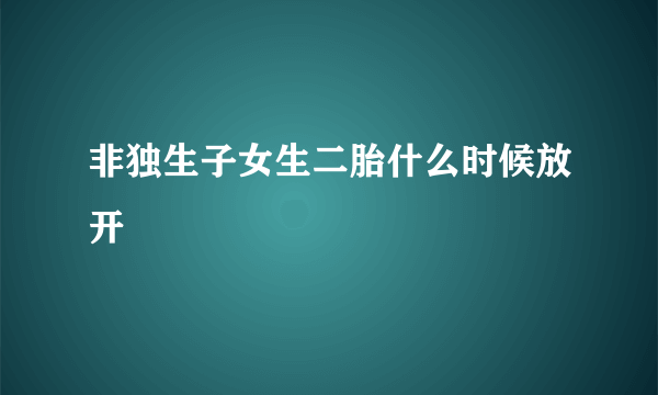 非独生子女生二胎什么时候放开