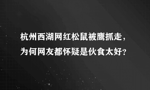 杭州西湖网红松鼠被鹰抓走，为何网友都怀疑是伙食太好？