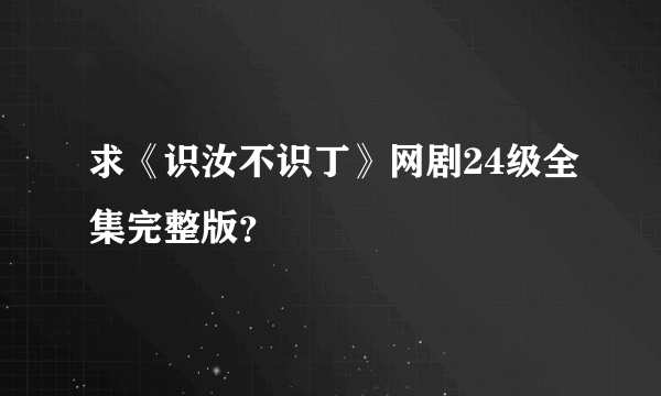 求《识汝不识丁》网剧24级全集完整版？