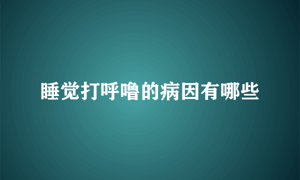 睡觉打呼噜的病因有哪些