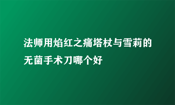 法师用焰红之痛塔杖与雪莉的无菌手术刀哪个好