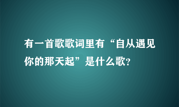 有一首歌歌词里有“自从遇见你的那天起”是什么歌？