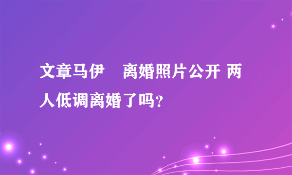 文章马伊琍离婚照片公开 两人低调离婚了吗？