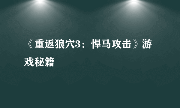 《重返狼穴3：悍马攻击》游戏秘籍