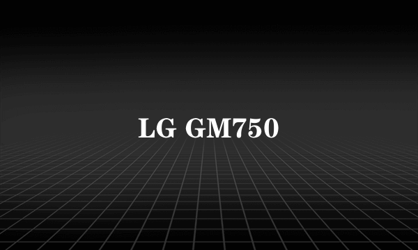 LG GM750