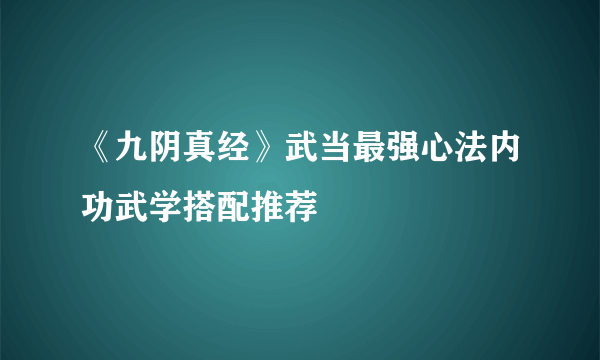 《九阴真经》武当最强心法内功武学搭配推荐