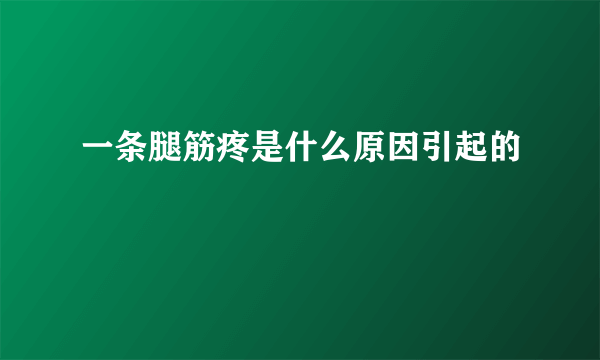 一条腿筋疼是什么原因引起的