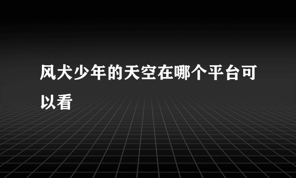 风犬少年的天空在哪个平台可以看