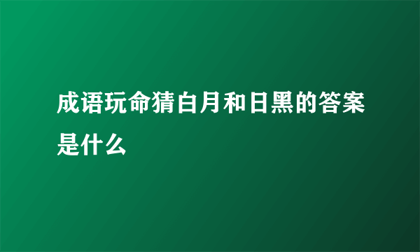 成语玩命猜白月和日黑的答案是什么