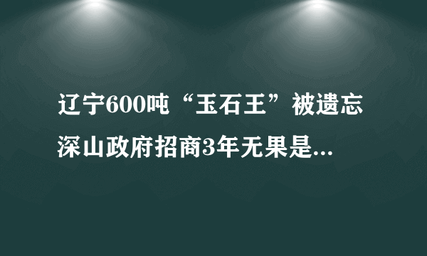 辽宁600吨“玉石王”被遗忘深山政府招商3年无果是怎么回事？