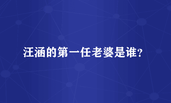 汪涵的第一任老婆是谁？