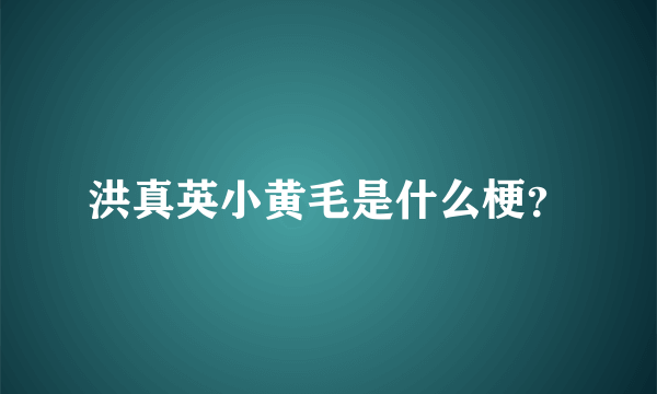 洪真英小黄毛是什么梗？