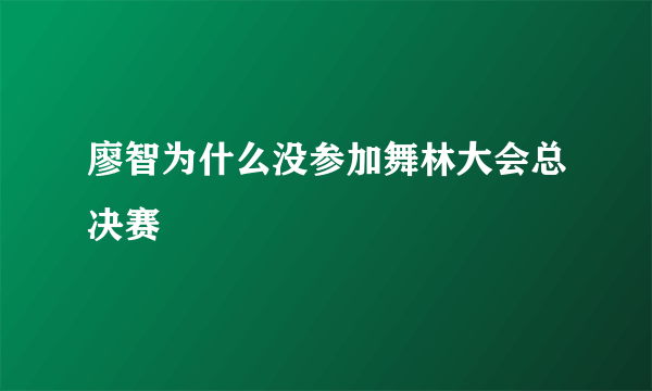 廖智为什么没参加舞林大会总决赛