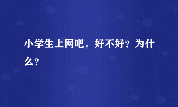 小学生上网吧，好不好？为什么？