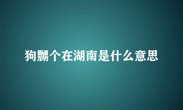 狗嬲个在湖南是什么意思