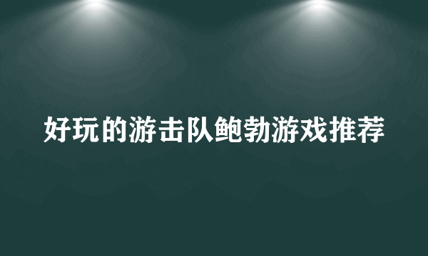 好玩的游击队鲍勃游戏推荐